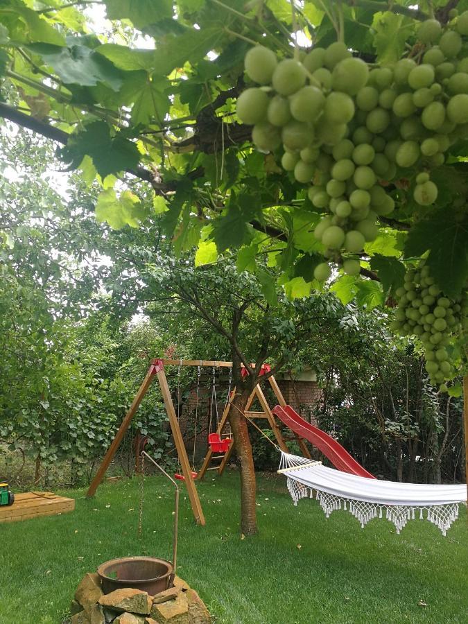 Muranyi Vendeghaz Mórahalom Exteriér fotografie